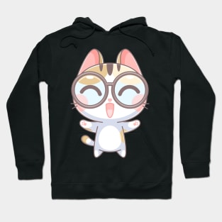 Cute cat likes to wear glasses Hoodie